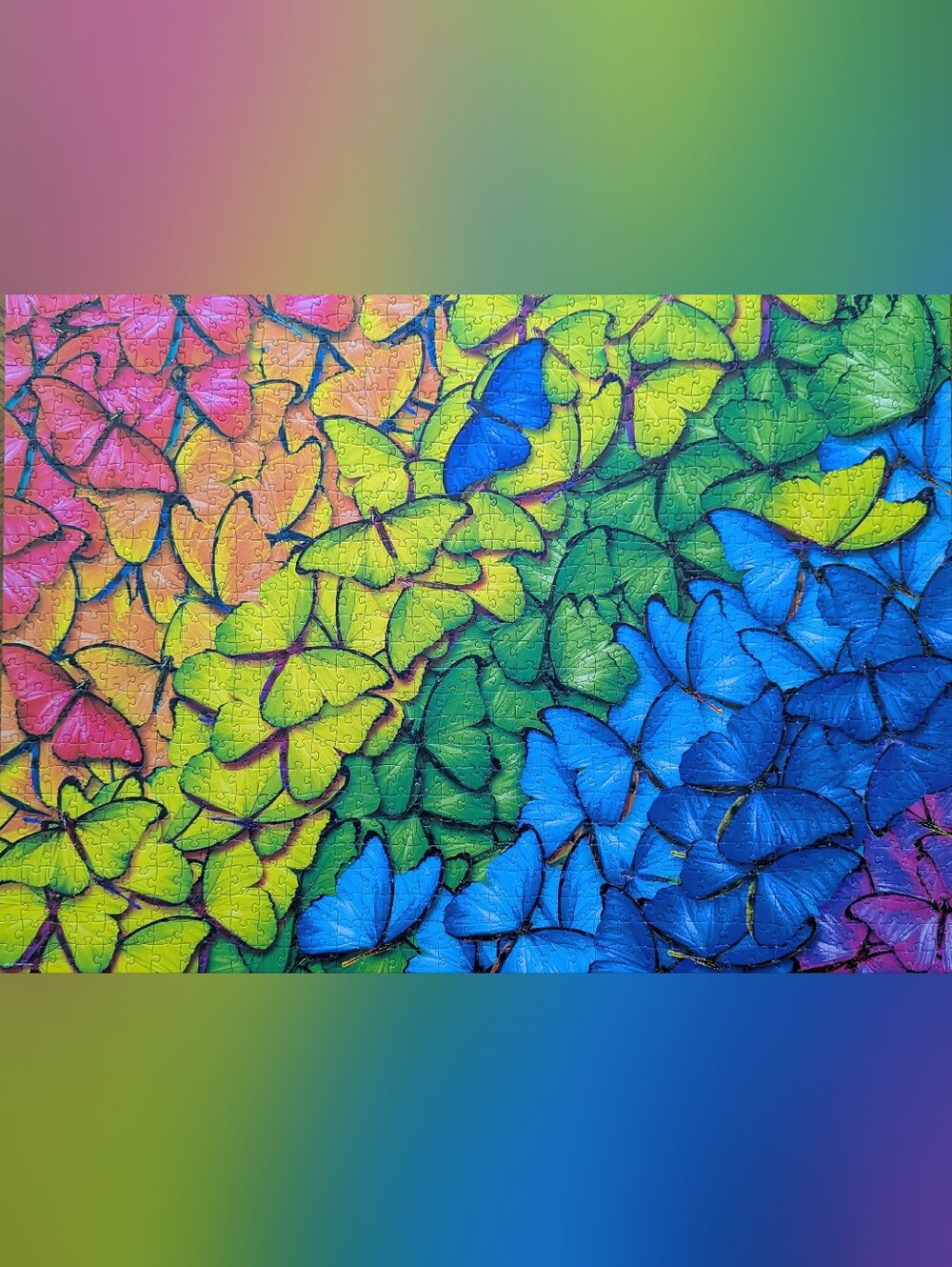 Butterfly 1000 Piece Puzzle Eurographics Butterfly - Picture 4 of 6